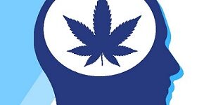 Cannabis Leaf on Person's Head